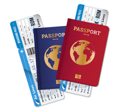 Pre-Visa Assistance Image